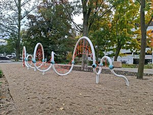 PHOTO-2026-03-23-08-11-39 (1).jpg